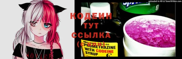 ешки Белокуриха