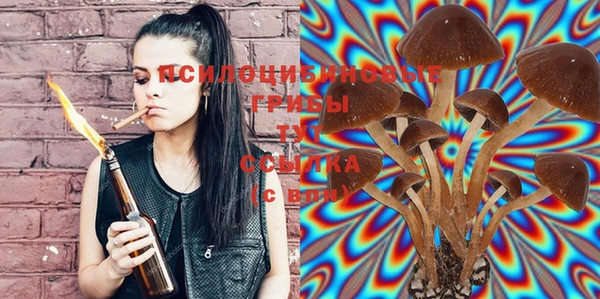 ECSTASY Белоозёрский