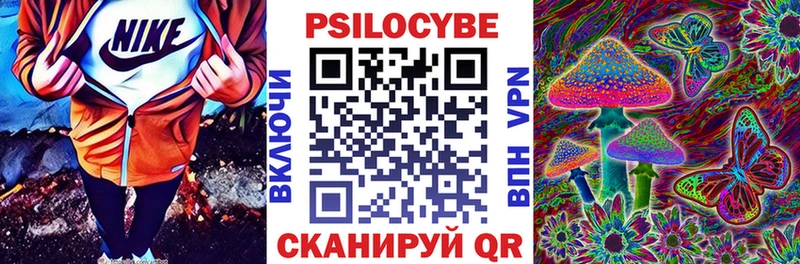 Купить где  Нытва  Псилоцибиновые грибы Psilocybe 